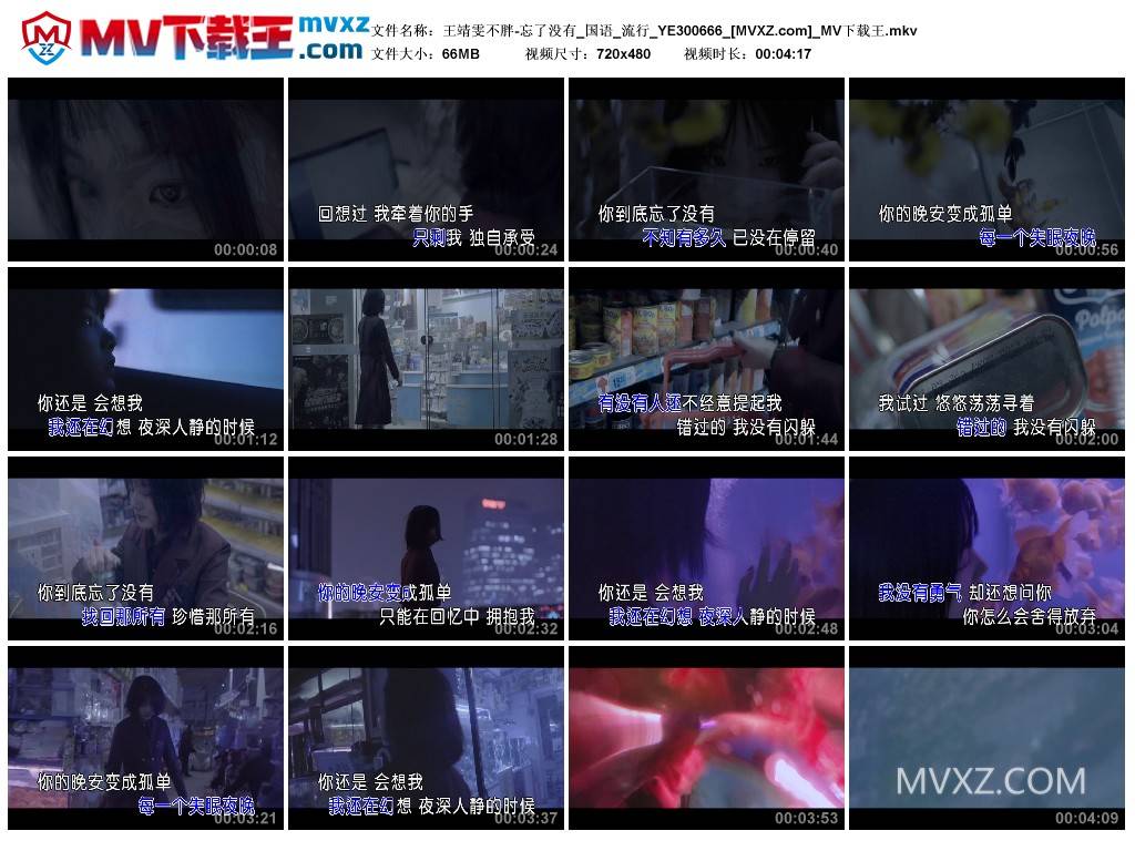 王靖雯不胖-忘了没有_国语_流行_YE300666